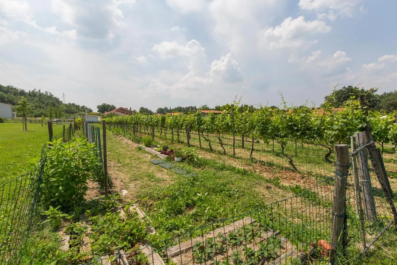 Kamp Romantik - Glamping Labin